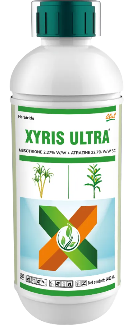 Xyris Ultra